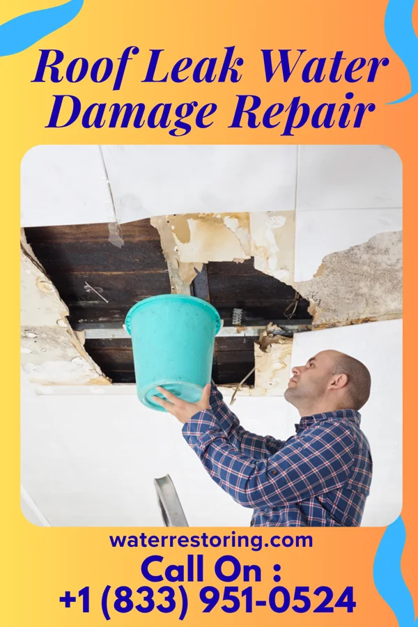 Roof Leak Water Damage Repair in Tiger, GA