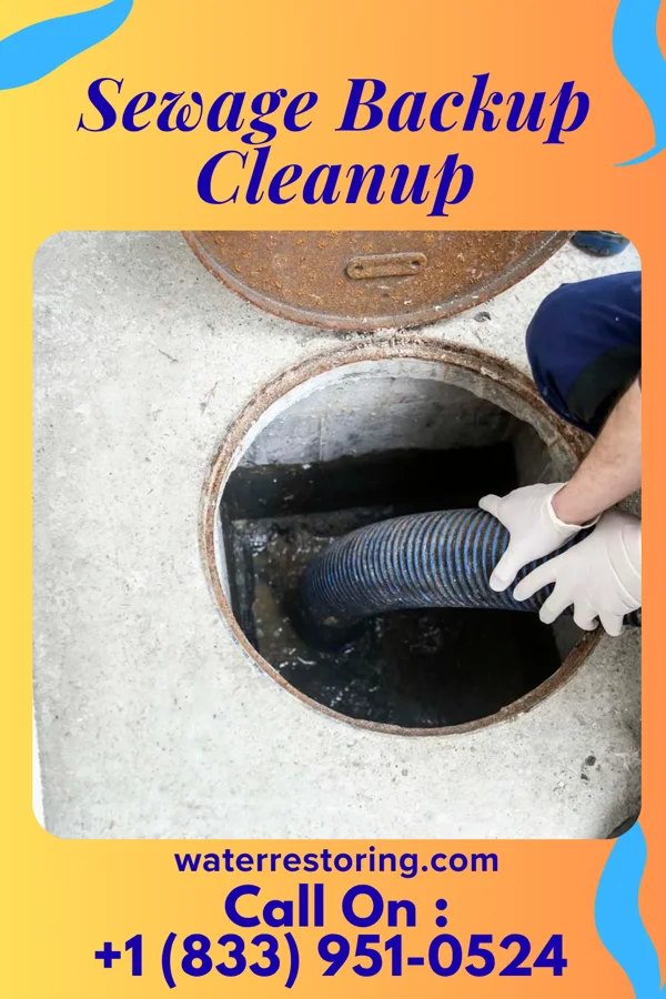 Sewage Backup Cleanup in Tiger, GA